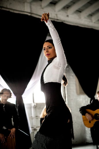 Gallery photo 7 of The Martin Metzger Flamenco Ensemble