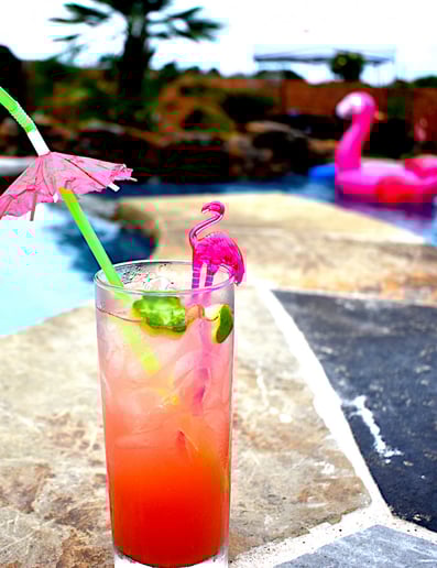 Gallery photo 5 of Golden Palate