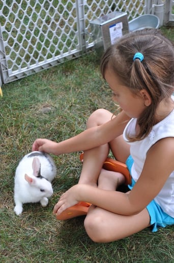 Gallery photo 4 of Enchanted Equine Events