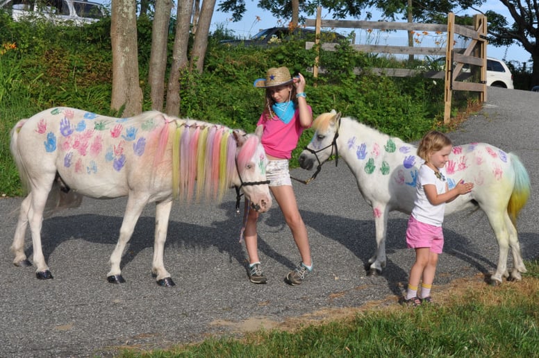 Gallery photo 10 of Enchanted Equine Events