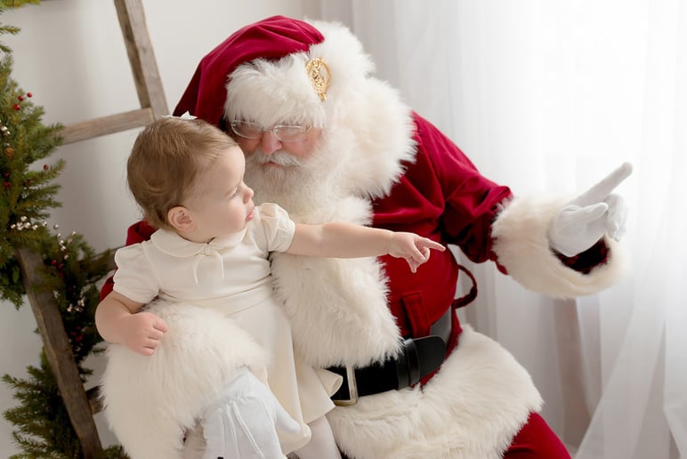 Gallery photo 5 of The Santa Connection