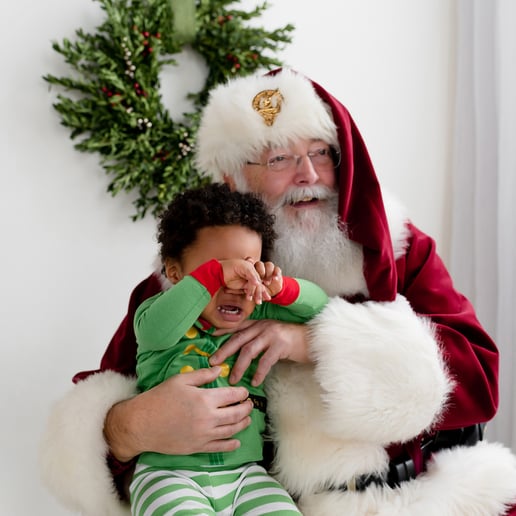Gallery photo 8 of The Santa Connection