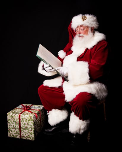 Gallery photo 12 of The Santa Connection