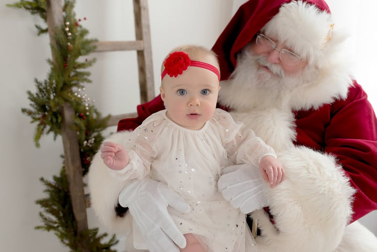Gallery photo 14 of The Santa Connection