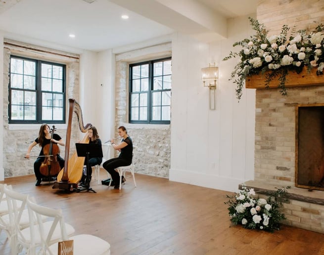 Gallery photo 4 of The Soenen Sisters - Harp Flute and Cello