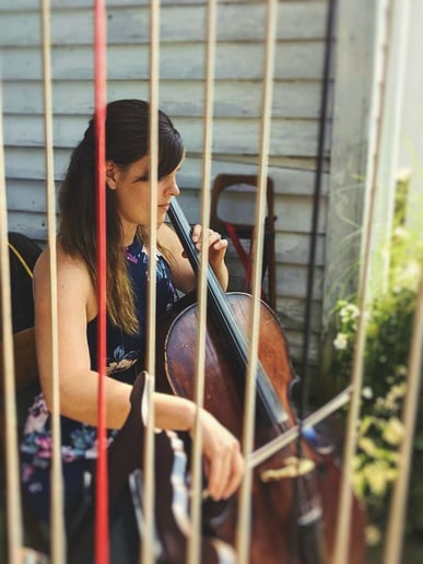 Gallery photo 10 of The Soenen Sisters - Harp Flute and Cello