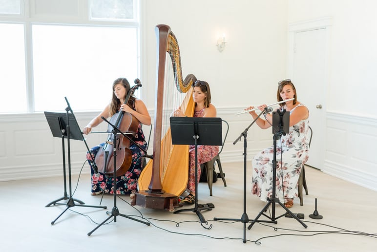 Gallery photo 2 of The Soenen Sisters - Harp Flute and Cello