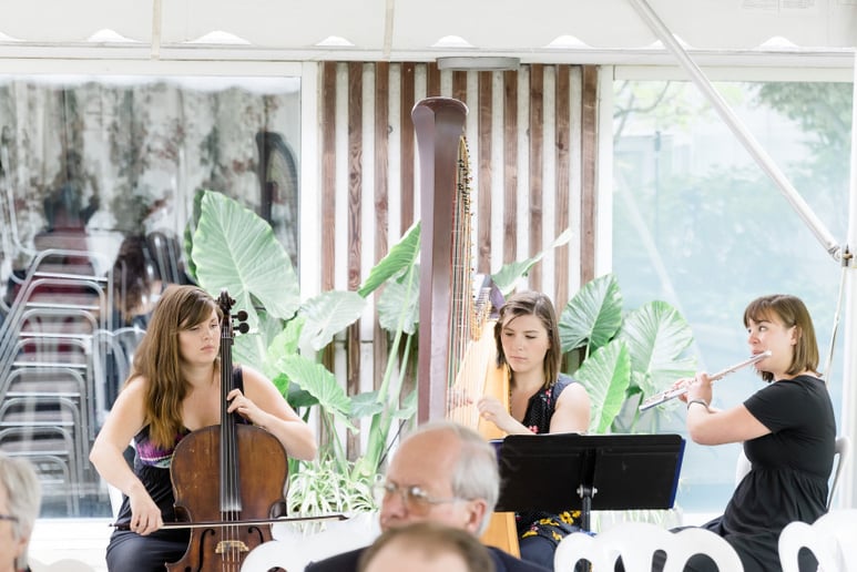 Gallery photo 3 of The Soenen Sisters - Harp Flute and Cello