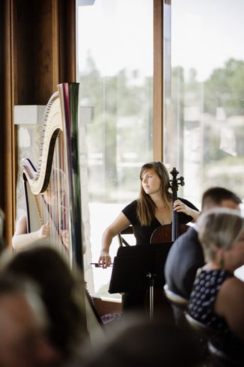 Gallery photo 7 of The Soenen Sisters - Harp Flute and Cello