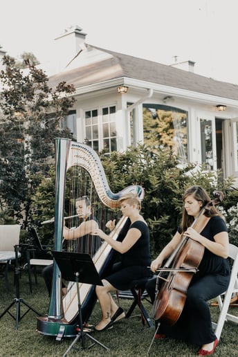 Gallery photo 8 of The Soenen Sisters - Harp Flute and Cello