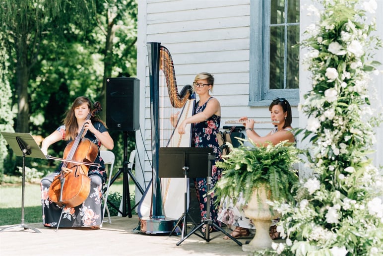 Gallery photo 1 of The Soenen Sisters - Harp Flute and Cello