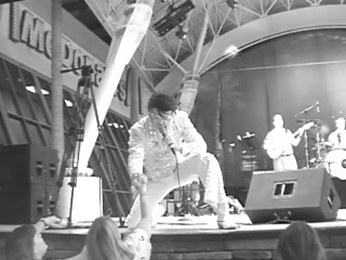 Gallery photo 14 of The Sound of Elvis By Larry D Sanders