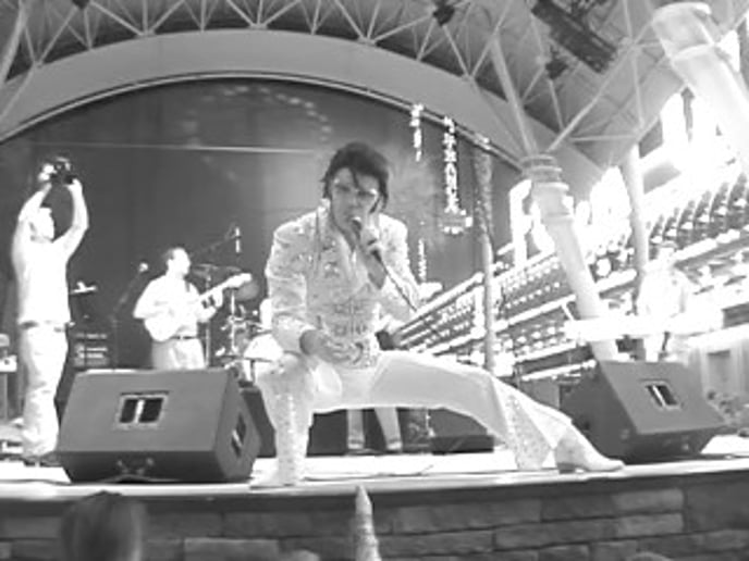 Gallery photo 15 of The Sound of Elvis By Larry D Sanders