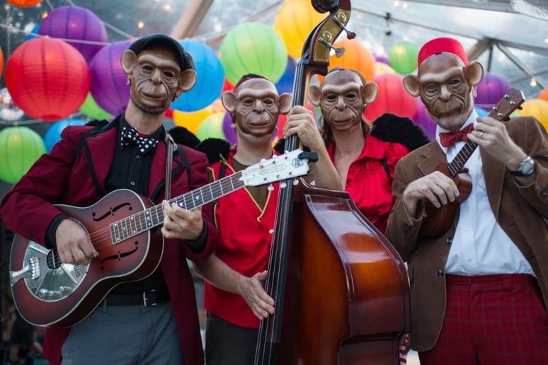 Gallery photo 3 of The V Tones of Charleston