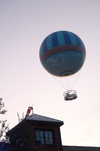 Gallery photo 4 of Painter Pictures Photography