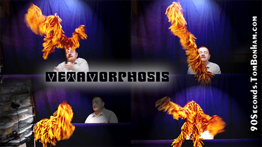 Gallery photo 7 of Tom Bonham Puppet and Marionette Productions