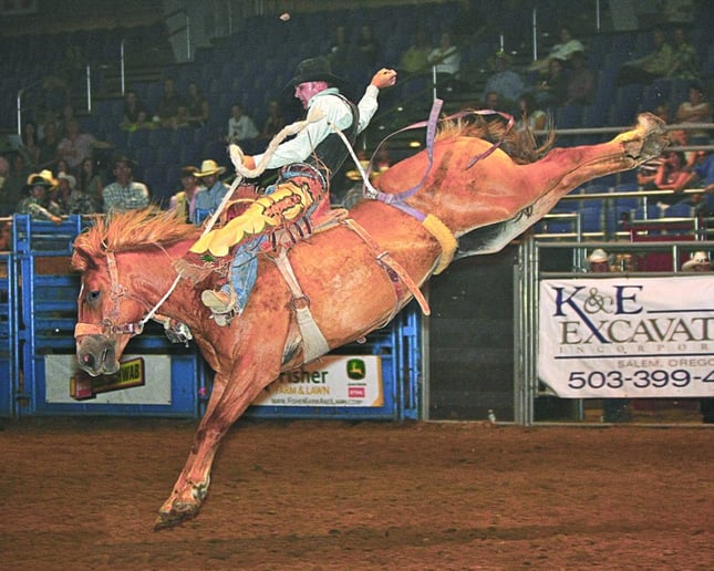 Gallery photo 3 of Tony Lundervold