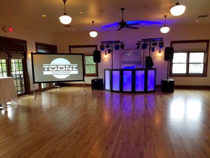 Gallery photo 4 of Toonz DJ