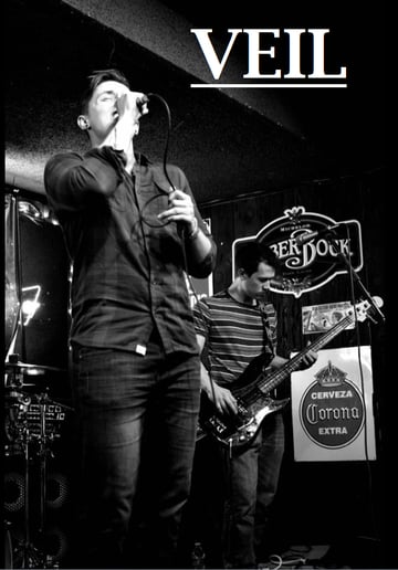 Gallery photo 3 of Veil