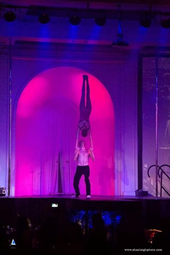 Gallery photo 76 of Cirque Mirage, LLC