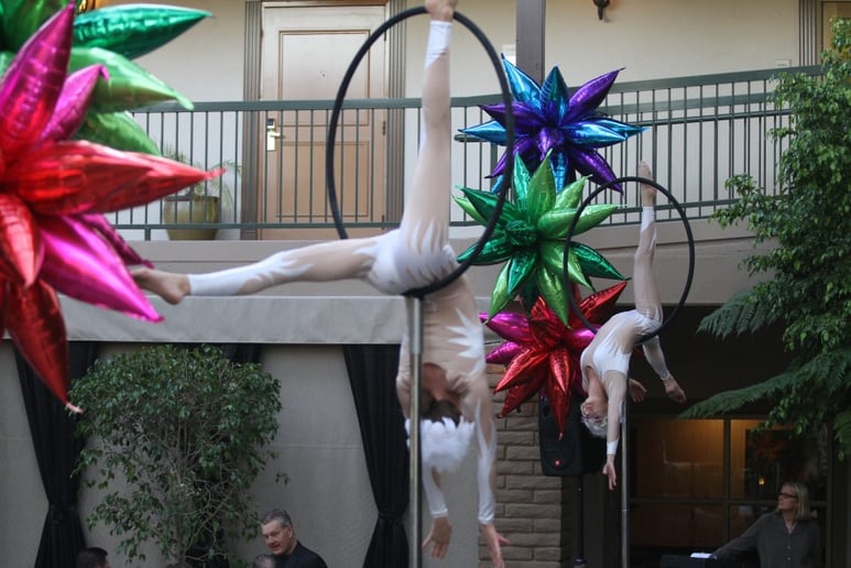 Gallery photo 23 of Cirque Mirage, LLC