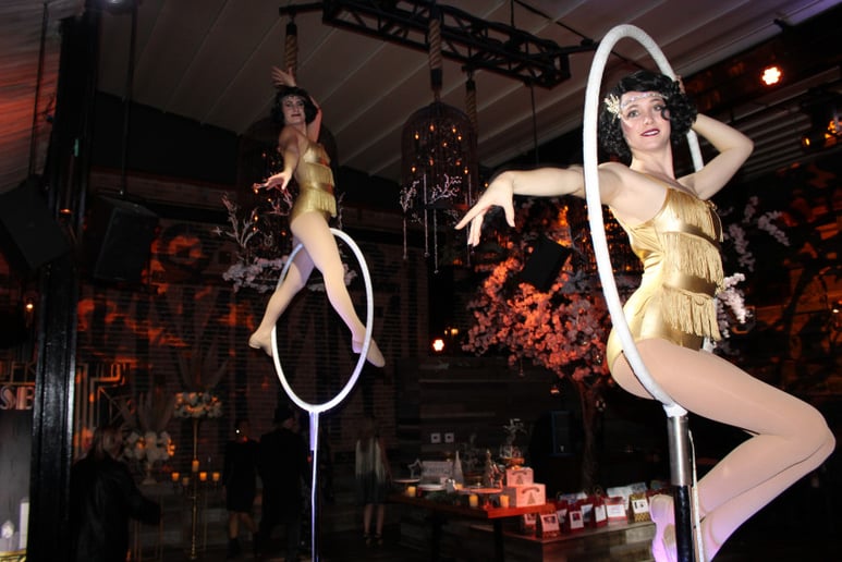 Gallery photo 21 of Cirque Mirage, LLC