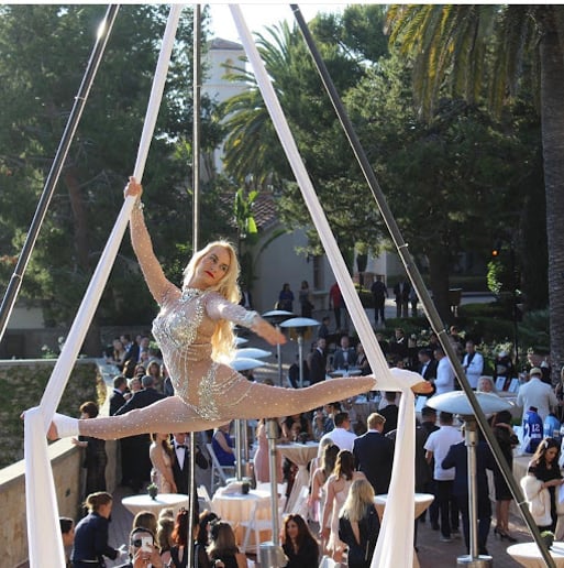 Gallery photo 13 of Cirque Mirage, LLC