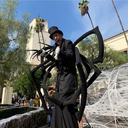 Gallery photo 79 of Cirque Mirage, LLC