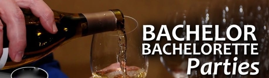 Gallery photo 33 of VIP Services * Fun Hot Party Staff + Ent