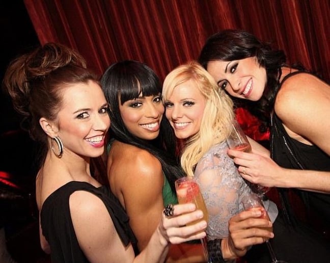 Gallery photo 69 of VIP Services * Fun Hot Party Staff + Ent