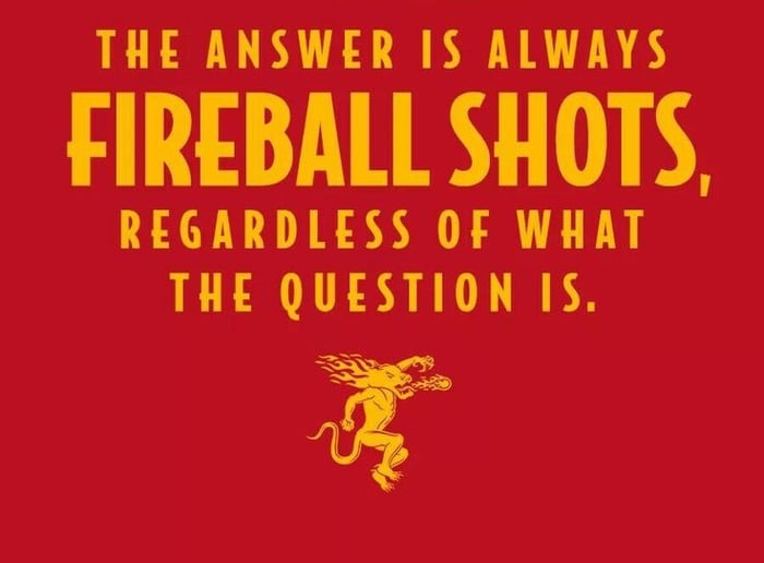 Gallery photo 96 of VIP Services * Fun Hot Party Staff + Ent