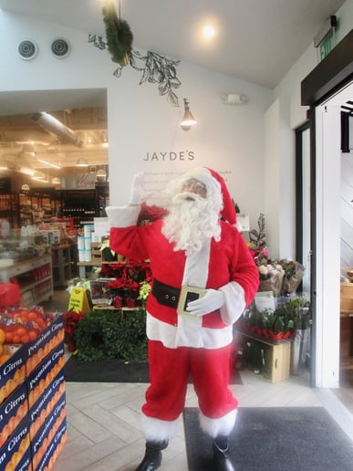 Gallery photo 27 of VIP Services * Fun Hot Party Staff + Ent