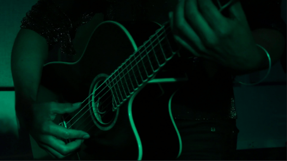 Gallery photo 4 of Vita Guitar