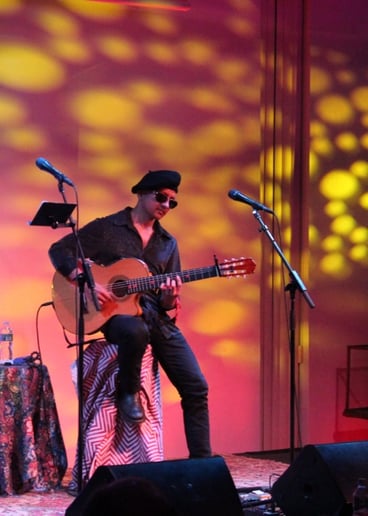 Gallery photo 6 of Vita Guitar