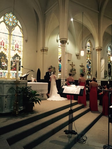 Gallery photo 1 of Viva la Strings