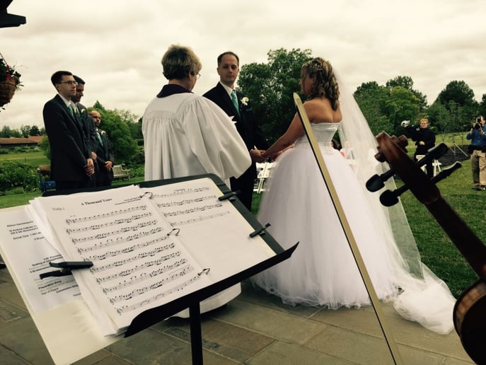 Gallery photo 2 of Viva la Strings