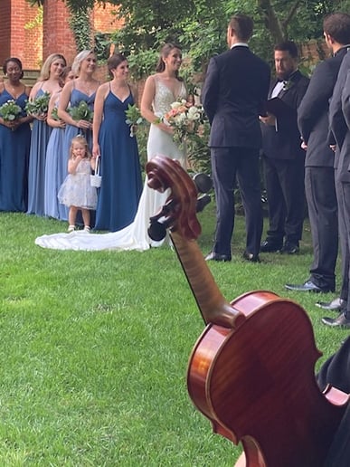 Gallery photo 8 of Viva la Strings