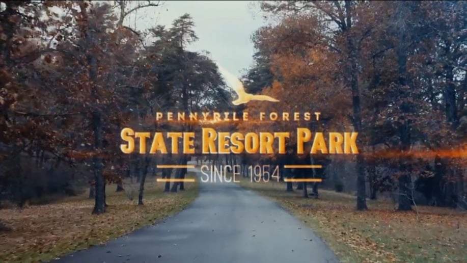 Gallery photo 3 of We Want Video Art