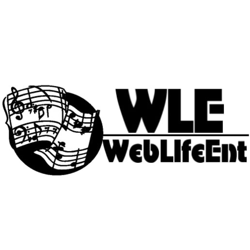 Gallery photo 1 of WebLifeEnt.