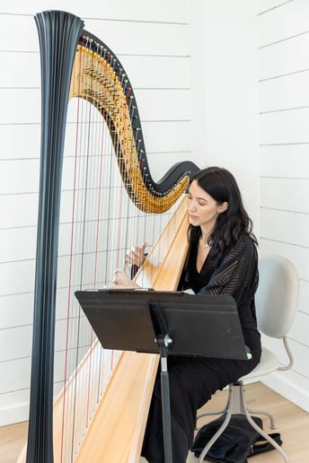 Gallery photo 8 of Wedding Harpist DFW ~ Haley Hodson