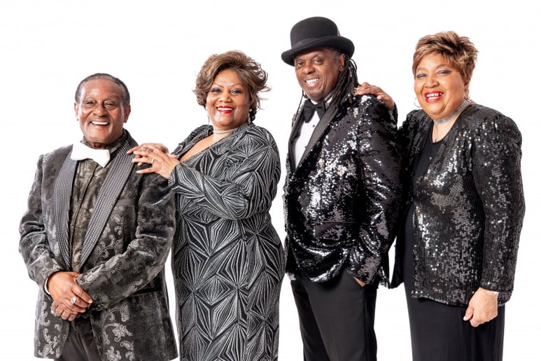 Gallery photo 7 of The Wiggitone Band