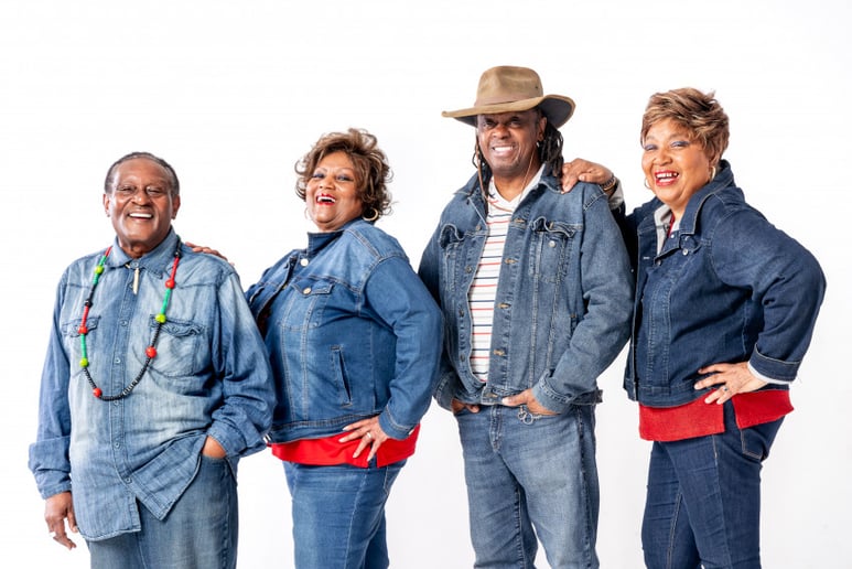 Gallery photo 8 of The Wiggitone Band