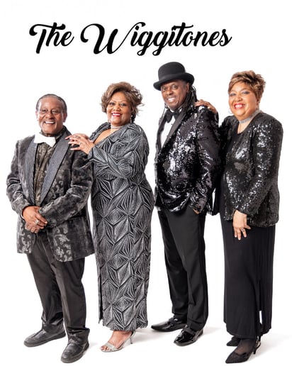 Gallery photo 10 of The Wiggitone Band
