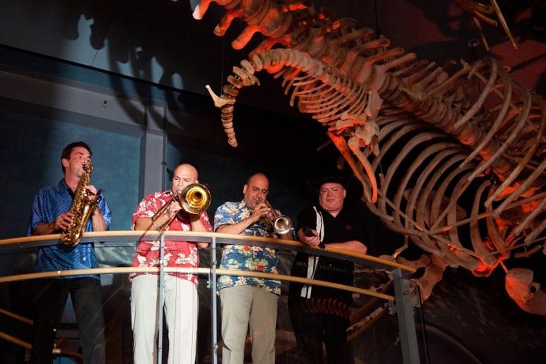 Gallery photo 8 of Wild Nites and the C&B Horns