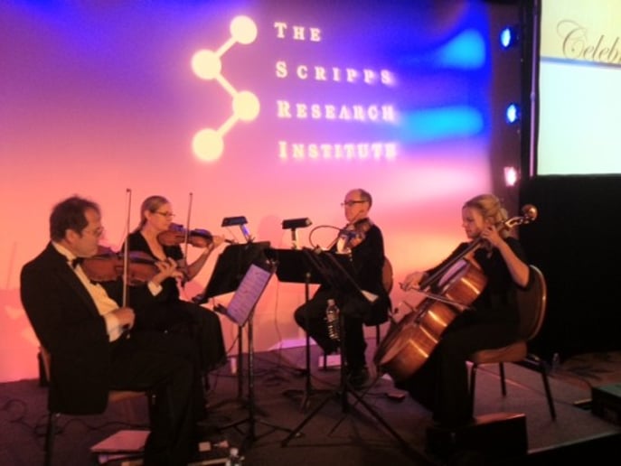 Gallery photo 1 of Windwild String Quartet
