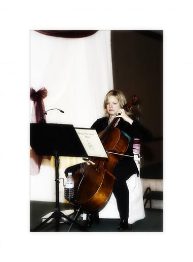 Gallery photo 2 of Windwild String Quartet