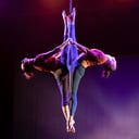 Circus Scorpius