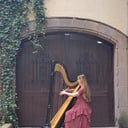 Kinsey Mitton Harp