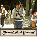 Pirates And Parrots