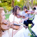 Sweetwater Strings